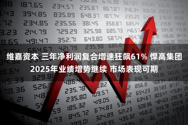 维嘉资本 三年净利润复合增速狂飙61% 悍高集团2025年业绩增势继续 市场表现可期