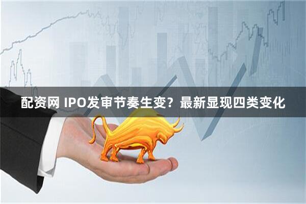 配资网 IPO发审节奏生变？最新显现四类变化