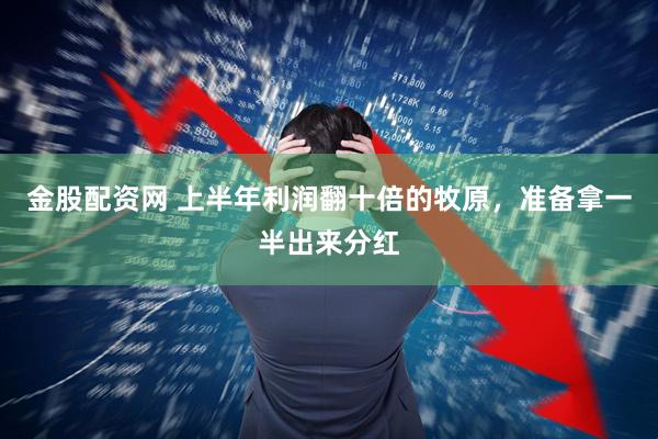 金股配资网 上半年利润翻十倍的牧原，准备拿一半出来分红