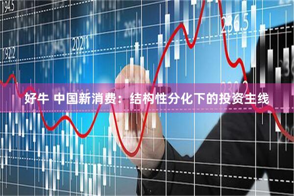 好牛 中国新消费：结构性分化下的投资主线