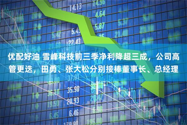 优配好油 雪峰科技前三季净利降超三成，公司高管更迭，田勇、张大松分别接棒董事长、总经理